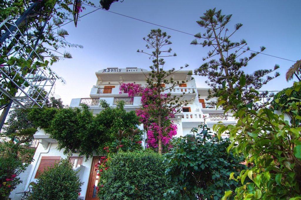 Hotel Adonis